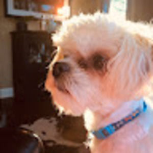 Meet your Posher, Adalie